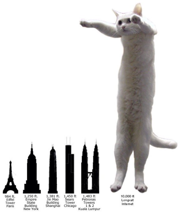A humorous infographic comparing a standing white cat ('Longcat Internet') at 10,000 ft tall to famous skyscrapers including the Eiffel Tower, Empire State Building, Jin Mao Building, Sears Tower, and Petronas Towers.