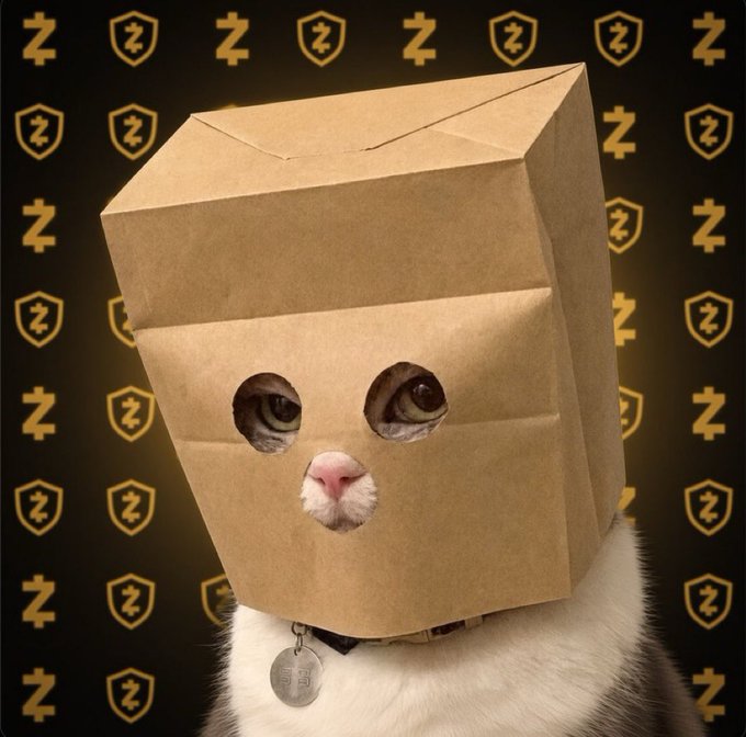 A cat with a brown paper bag over its head stares forward with only its eyes, pink nose, and white fur visible, wearing a small round tag, set against a background patterned with repeating golden "Z" symbols and shield icons featuring the letter "Z," visually referencing the $ZCAT token and its potential to follow $WIF toward a billion-dollar market cap as suggested by the caption.