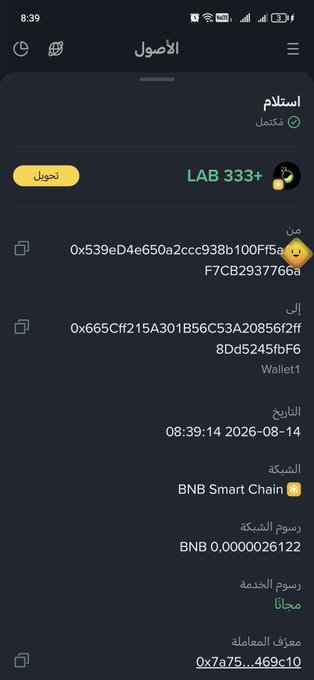 Screenshot of a crypto wallet interface in Arabic showing a wallet address, LAB 333+ balance, BNB Smart Chain network, with timestamp 08:39:14 2026-08-14 and BNB 0,0000026122.