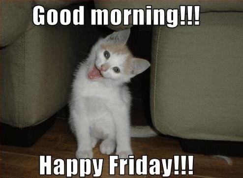 A cute white and orange kitten sitting between couch cushions with its tongue sticking out, captioned 'Good morning!!! Happy Friday!!!'