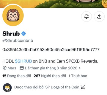 The image shows a X (Twitter) profile page for "Shrub" (@Shrubcoinbnb), a verified account promoting $SHRUB token on the BNB chain with the contract address 0x365f43e3bd1a0153e50e45a2cae961151f5d7777, noting that "Sir Doge of the Coin" follows the account. The post ties into this by highlighting the contract address and suggesting that Doge CEO's connection to the $SHRUB mascot-themed SpaceX coin on BNB chain warrants attention.