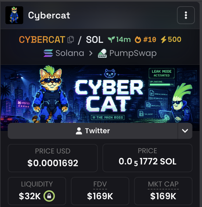 A cryptocurrency token profile for "Cybercat" (CYBERCAT/SOL) on PumpSwap showing a price of $0.0001692, market cap of $169K, and liquidity of $32K, with the post promoting it as a potential "leek"-style pump using the contract address 9HHTQ7YMx82E987cNqF9KczyZrfKgqvKNyA2yHSVpump.