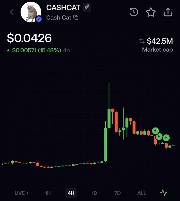 The image shows a 4-hour candlestick chart for $CASHCAT (Cash Cat) trading at $0.0426, with a 15.48% gain of $0.00571 over the past 4 hours and a market cap of $42.5M, displaying a dramatic price spike followed by consolidation. The chart visually supports the post's bullish thesis on Cashcat, illustrating the recent upward momentum the poster cites as confirmation of their investment conviction.