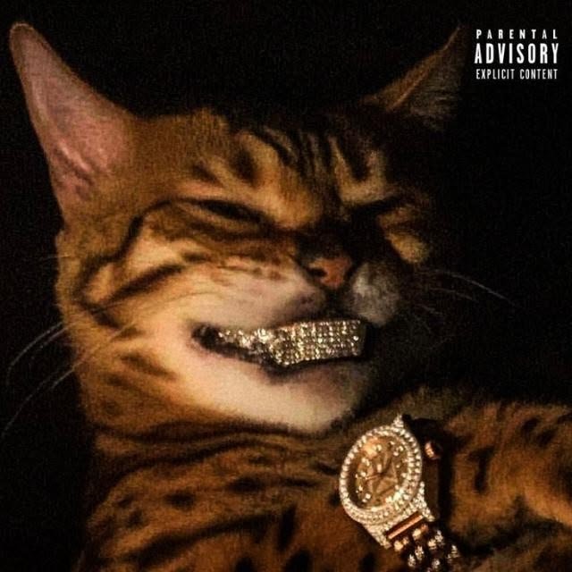 A stylized parody album cover showing a grumpy-looking tabby cat with a diamond-encrusted grill and a luxury watch, marked with a 'Parental Advisory Explicit Content' label.