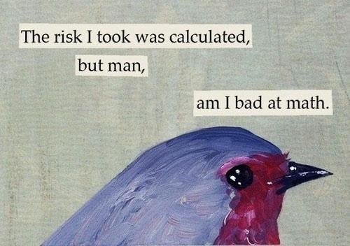 A painted bird with a red face and purple head appears alongside the text "The risk I took was calculated, but man, am I bad at math." The image humorously relates to the post, suggesting that miners who devoted hash power to the BIP110 chain miscalculated the risk—likely backing a Bitcoin Improvement Proposal that didn't succeed, leaving them on the losing side of the chain split.