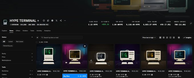 A dark-themed dashboard for 'HYPE TERMINAL' showing a floor price of 2.13 HYPE, a 24h volume of 9,118.48 HYPE, and 478 listings, with NFT collection cards displayed below.