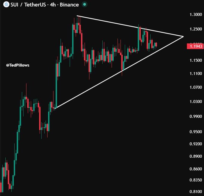 A 4-hour candlestick chart of SUI/USDT on Binance showing a symmetrical triangle pattern converging near $1.1943, with price oscillating between approximately $1.05 support and $1.30 resistance. The post highlights Sui Network's partnership with Mysten Labs and Google Cloud on AI agent verification, noting the technical setup as potentially significant.