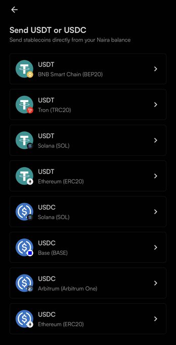 A mobile app screen titled 'Send USDT or USDC' displays options to send stablecoins across various networks including BNB Smart Chain (BEP20), Ton (TRC20), Solana (SOL), Ethereum (ERC20), Base (BASE), and Arbitrum (Arbitrum One).