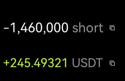 A screenshot displays a short position of -1,460,000 with a profit of +245.49321 USDT shown in green, likely illustrating trading results. This appears to be a promotional image for an airdrop claim site (airdrop.bigshort.xyz), possibly leveraging the "short" pun in the domain name to market crypto trading rewards.