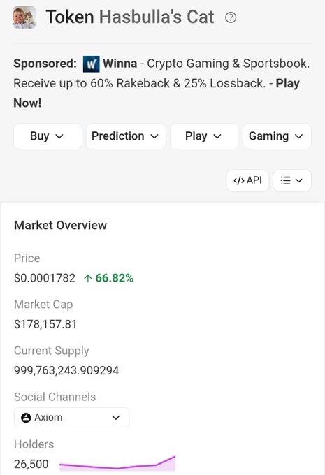 A screenshot of a cryptocurrency tracking page for 'Token Hasbulla's Cat' showing a price of $0.0001782 with a 66.82% increase, market cap of $178,157.81, current supply of 999,763,243.909294, and 26,500 holders, with a Winna - Crypto Gaming & Sportsbook sponsored ad.