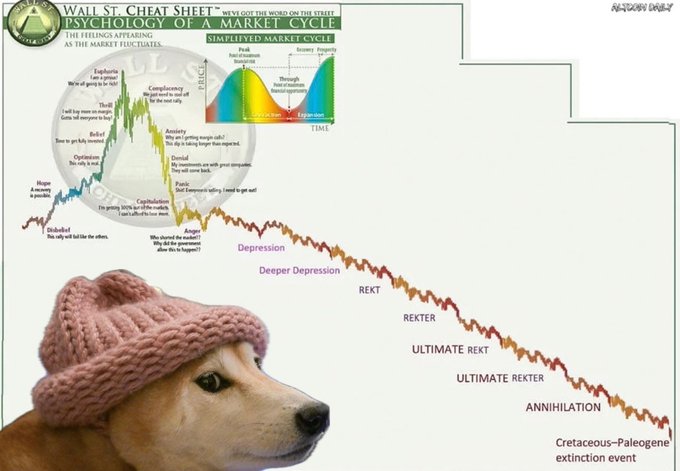 The image features a brown dog wearing a pink knit hat, with its head tilted slightly to the left as if looking at something out of frame. Below the dog's head, there is a Wall Street chart that displays various stock market trends over time. The chart shows different peaks and valleys in the stock prices, indicating fluctuations in the market.
