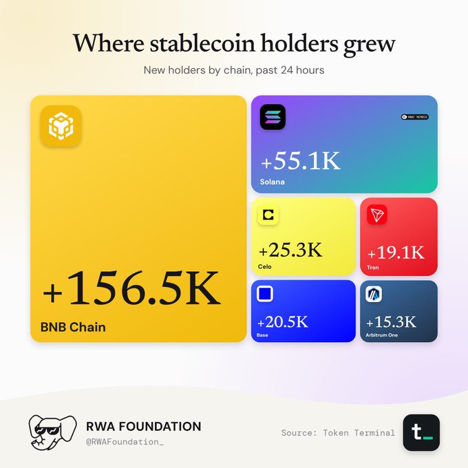 An infographic titled "Where stablecoin holders grew" showing new holders by chain in the past 24 hours, led by BNB Chain (+156.5K), Solana (+55.1K), Celo (+25.3K), Base (+20.5K), Tron (+19.1K), and Arbitrum One (+15.3K), sourced from Token Terminal by RWA Foundation.