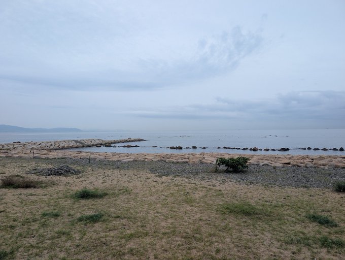 A serene coastal landscape featuring a rocky breakwater extending into calm ocean waters under a cloudy sky, with sparse grass and a small bush in the foreground.