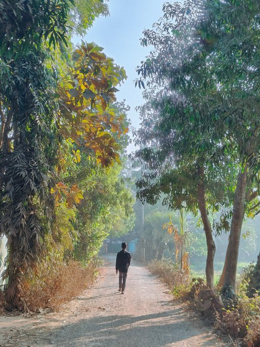 A peaceful outdoor scene showing a person walking down a sunlit dirt path lined with lush green trees.