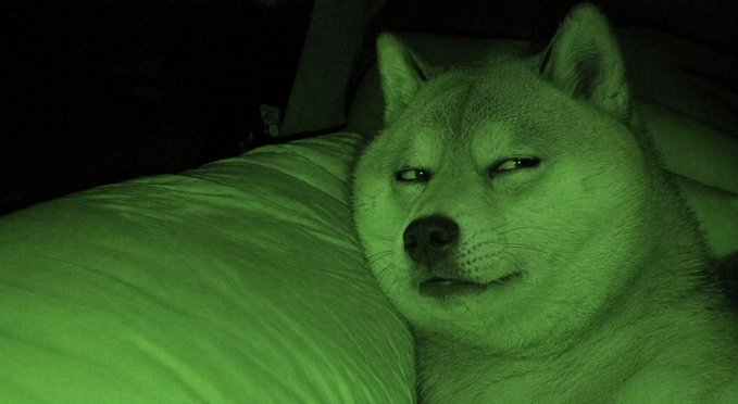 A dog with glowing green eyes lies on a white pillow in the dark, captured with night vision.
