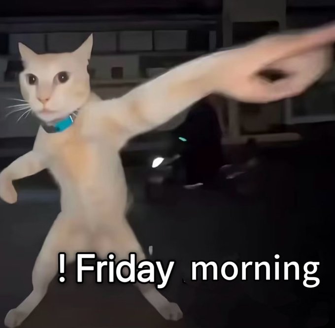 A cream-colored cat with wide eyes stands on its hind legs with one paw dramatically extended forward, captioned "!Friday morning," perfectly capturing the post's excited, ready-to-launch energy for the weekend.