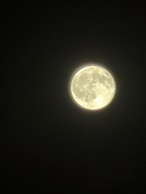 A bright, full moon glowing in a dark, clear night sky.