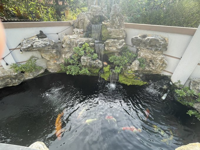 A tranquil koi pond featuring a tiered rock waterfall, lush greenery, and several colorful koi fish swimming in the dark water. The serene, slow-paced scene contrasts with the post's message about the quiet, sluggish crypto market nearing the end of the month, using the peaceful pond as a metaphor for the calm, stagnant trading environment.