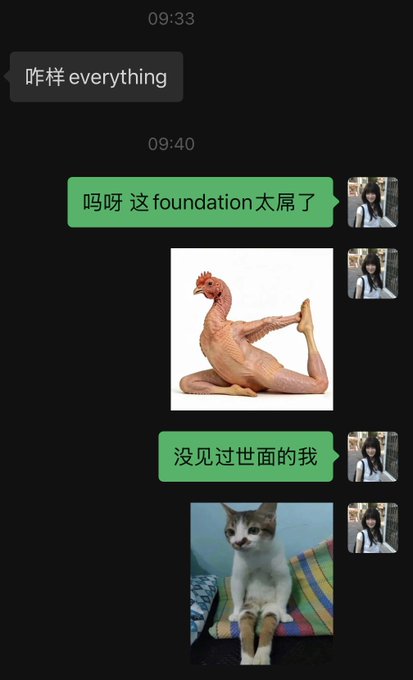 A chat conversation in Chinese and English shows messages like '咋样 everything' and '吗呀 这foundation太屌了', accompanied by meme images of a chicken and a cat.
