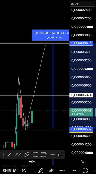 A SHIB/USDT candlestick chart on TradingView shows Shiba Inu completing a retest around 0.000004562, with a projected upward target highlighted at 0.000006618 (a 45.08% gain from entry of 1 cubukta), aligning with the post's call for potential upward movement toward the first solid resistance.