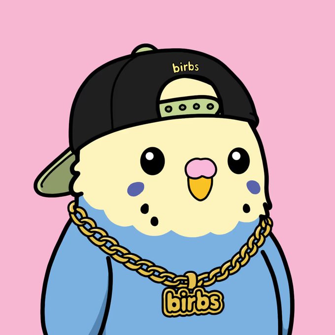 A cartoon illustration of a yellow bird-like character wearing a black cap with "birbs" written on it, a blue shirt, and a gold chain with a "birbs" pendant, set against a pink background.
