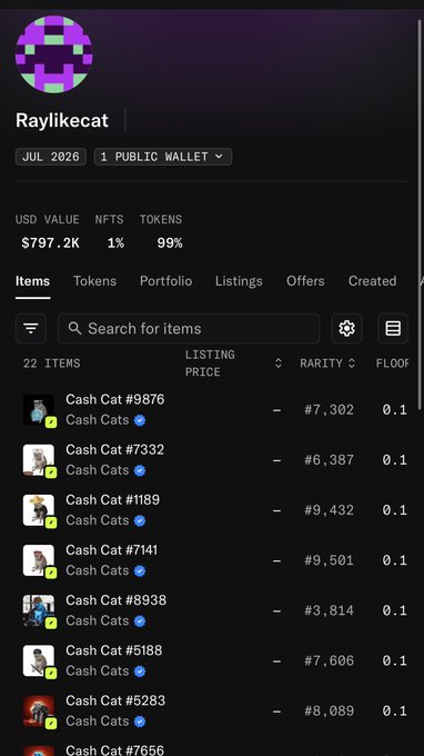 A screenshot of Raylikecat’s wallet shows 22 Cash Cat NFTs, valued at $797.2K and representing 99% of their portfolio. The account appears to be a major Cash Cats holder (“whale”) deploying substantial funds into the NFT collection.