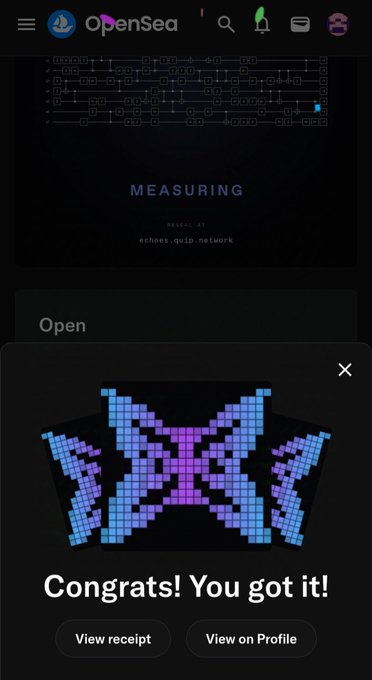 An OpenSea mobile screenshot displays a 'Congrats! You got it!' message for acquiring a pixel art NFT called 'MEASURING' from the echoes.quip.network collection.