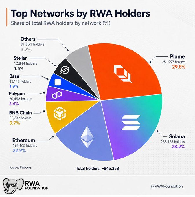 The image is a pie chart showing the top networks held by RWA holders. It clearly illustrates which networks are most popular among these owners. The main network shown is Ethereum, representing about 46% of the total networks held by RWA holders. Other prominent networks include Bitcoin (28%), BNB chain (24%), and Polygon (19%). There are also networks for Stellar (11.5%), Solana (17.6%), Ripple (2.7%), and various others. The pie chart breaks down the network shares into their respective segments, giving an overview of each network's size in relation to the whole.