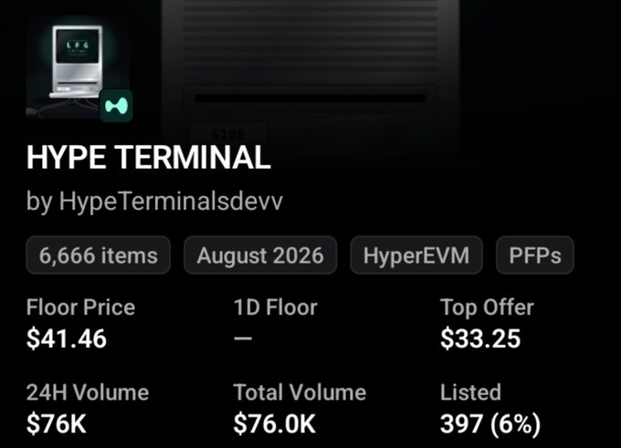 A dark-themed dashboard interface for an NFT collection called "HYPE TERMINAL by HypeTerminalsdevv," showing 6,666 items, an August 2026 date, and a floor price of $41.46.