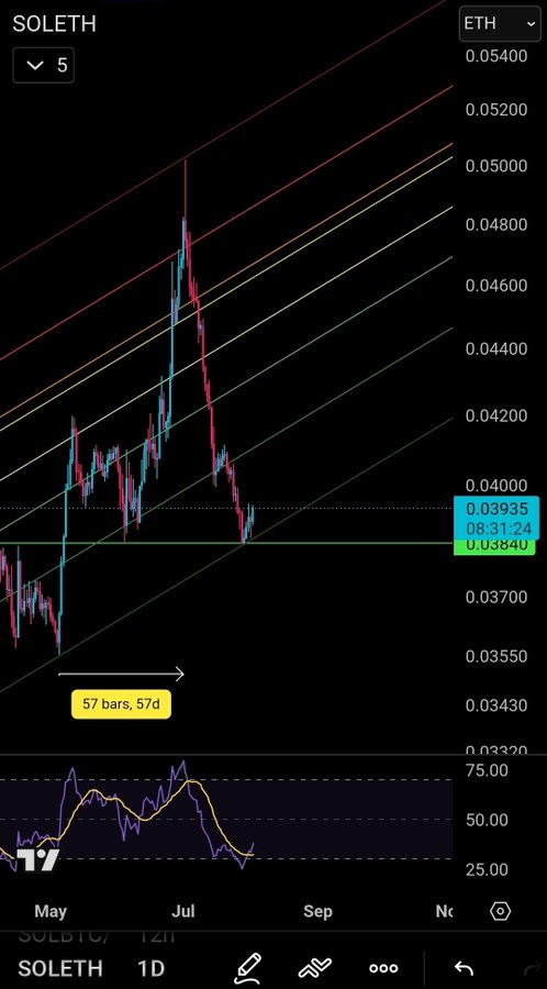 A TradingView chart of SOLETH (SOL/ETH) on the 1D timeframe shows a recent downtrend with price near 0.0384-0.03935, alongside an RSI indicator that has dropped near oversold territory, suggesting potential for a reversal bounce that aligns with the "$CATWIF about to Rip" sentiment.