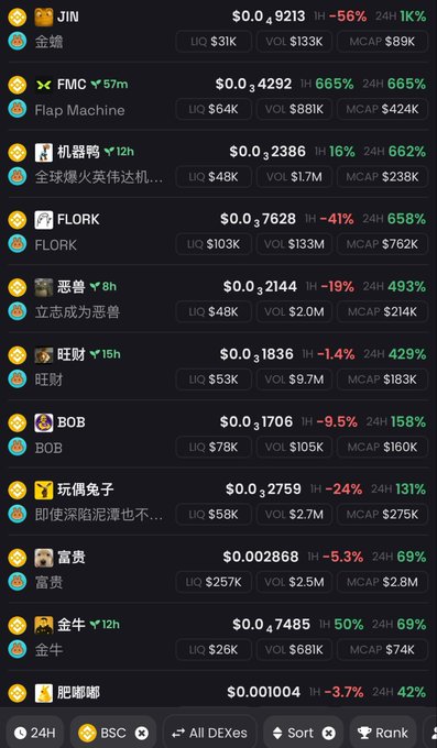 A dark-themed crypto market tracker listing meme coins including JIN ($0.09213), FMC ($0.4292), FLORK ($0.37628), BOB ($0.1705), BOB ($0.2759), BOB ($0.002868), and others with 24H price changes, liquidity, volume, and market cap on BSC DEX.
