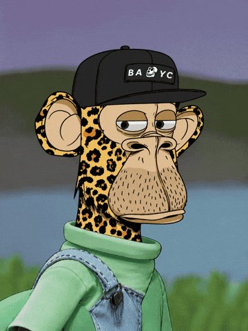The image features a cartoon monkey wearing a hat with the words "BAY SC" written on it. The monkey appears to be dressed for a tropical climate or an adventure setting, as it has a backpack on its back. The background of the image is blurred and consists of trees and water, giving the impression that the monkey might be in a jungle or near a body of water.