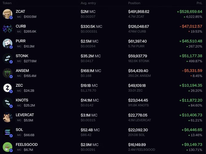 A portfolio dashboard displaying the top 10 crypto holdings with their average entry prices, market caps, positions, and PnL values. Tokens shown include ZCAT (4,022.85% gain), CURB (-19.53%), PURR (267.20%), STONK (499.87%), ANSEM (8.45%), ZEC (26.20%), KNOTS (84.60%), LEVERCAT (61.21%), SOL (13.46%), and FEELSGOOD (130.71%), illustrating the performance breakdown of the user's meme coin bag.