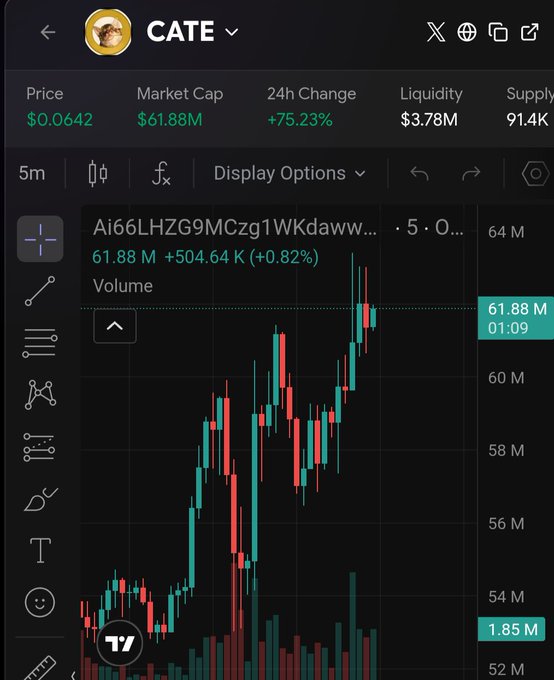 A TradingView chart for the CATE meme coin showing a price of $0.0642, market cap of $61.88M, and a +75.23% 24-hour change.