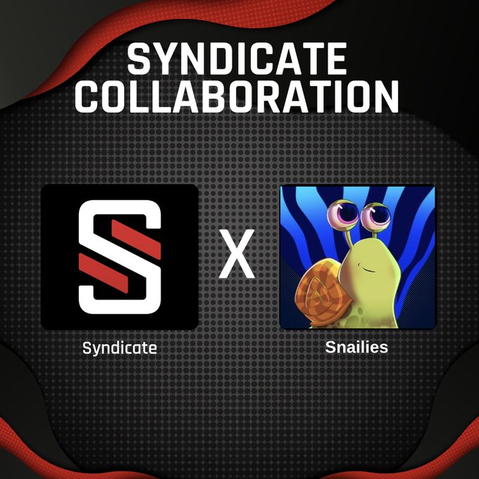 A promotional graphic titled 'SYNDICATE COLLABORATION' showing a partnership between 'Syndicate' (with an S logo) and 'Snailies' (featuring a cartoon snail).