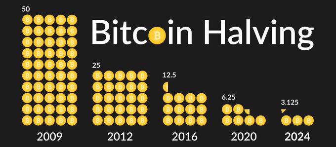 An infographic illustrating Bitcoin's halving events across years, showing block reward reductions from 50 BTC (2009) to 25 BTC (2012), 12.5 BTC (2016), 6.25 BTC (2020), and 3.125 BTC (2024), with each reward amount visualized as a cluster of Bitcoin coins. The image relates to the post by highlighting the diminishing BTC mining rewards over time, providing context for the bullish forecasts discussed.