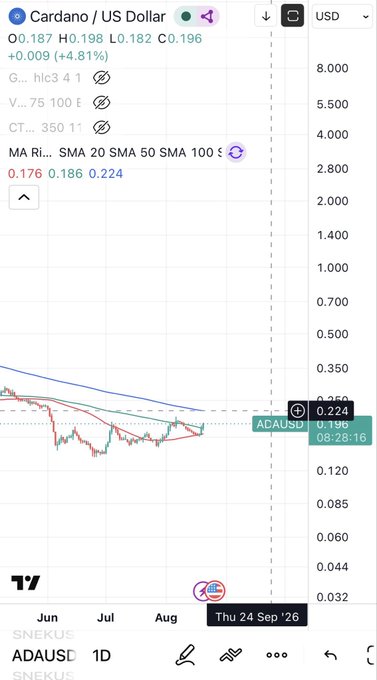 A cryptocurrency trading chart showing Cardano/US Dollar (ADAUSD) at 0.196, with a daily (1D) timeframe displayed, showing a price decline from June to September with moving averages (SMA 20, SMA 50, SMA 100).