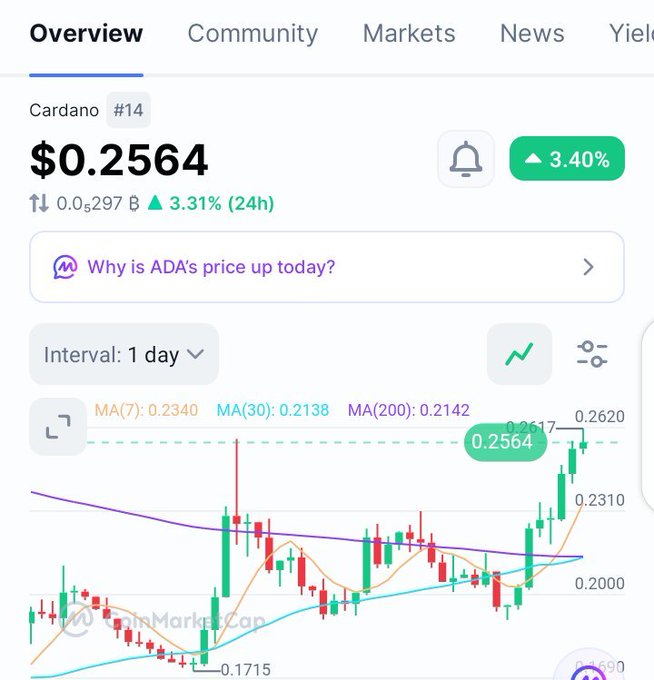 A CoinMarketCap overview page showing Cardano (ADA) ranked #14 with a price of $0.2564, up 3.40%, displaying a 1-day candlestick chart.