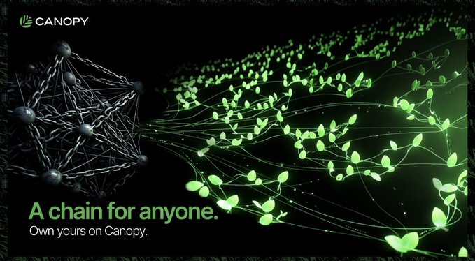 A Canopy Network advertisement showing a dark, tangled web on the left transforming into green leafy vines on the right, with the text 'A chain for anyone. Own yours on Canopy.'