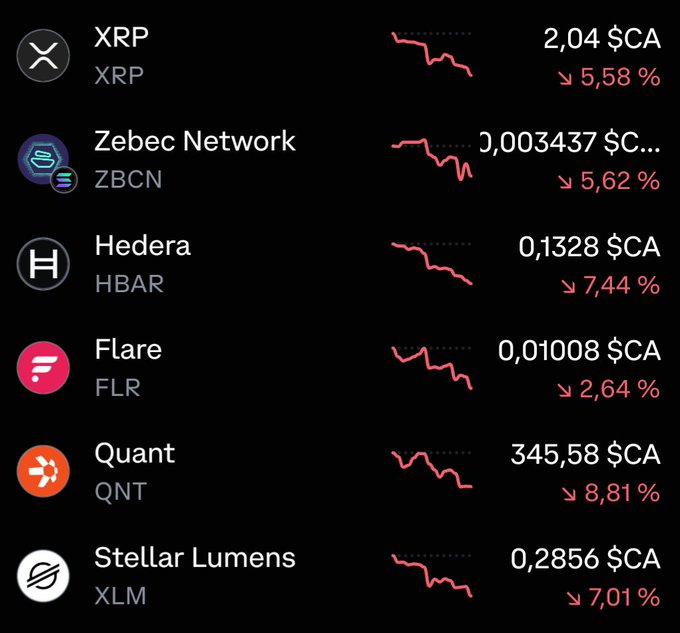 A cryptocurrency portfolio tracking screen showing all assets in decline: XRP at $2.04 CA (down 5.58%), Zebec Network (ZBCN) at $0.003437 (down 5.62%), Hedera (HBAR) at $0.1328 (down 7.44%), Flare (FLR) at $0.01008 (down 2.64%), Quant (QNT) at $345.58 CA (down 8.81%), and Stellar Lumens (XLM) at $0.2856 (down 7.01%).