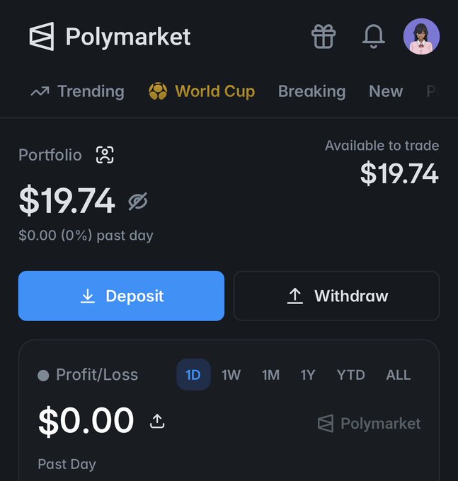 The image shows a screenshot of an online wallet or portfolio application displaying information related to PolyMarket and a transaction. The current account balance is $19.74, with the funds being transferred from one account to another for a specific purpose, possibly related to the World Cup events. Additionally, there are details about two days past, indicating that this payment was made in the past using the PolyMarket application.