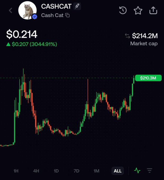 A cryptocurrency tracking screenshot for "CASHCAT" (Cash Cat) displaying a price of $0.214 with a market cap of $214.2M, showing an "ALL" time chart with a massive 30,444.91% gain. The chart illustrates the token's historical volatility followed by a recent sharp upward breakout to $210.3M market cap, supporting the post's bullish claim that Cash Cat is approaching new all-time highs following its return to single-chain functionality.
