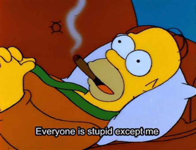 A Simpsons meme featuring Homer Simpson smoking a cigar in bed with the caption 'Everyone is stupid except me'.