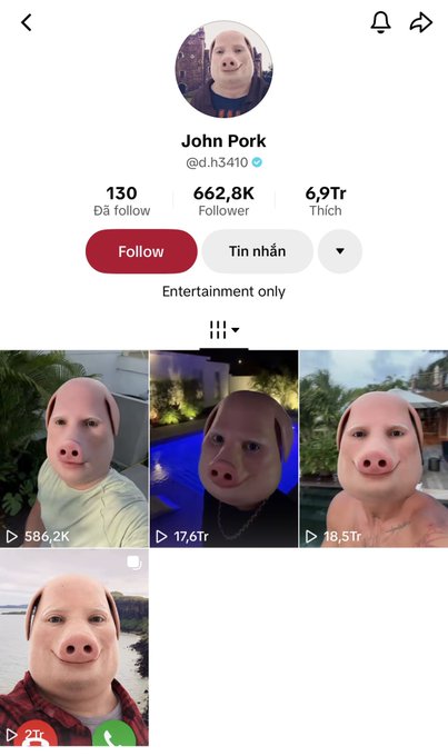 A TikTok profile page for "John Pork" (@d.h3410) shows 662.8K followers and 6.9Tr "Thích" (likes), featuring video thumbnails of a person wearing a pig face filter.