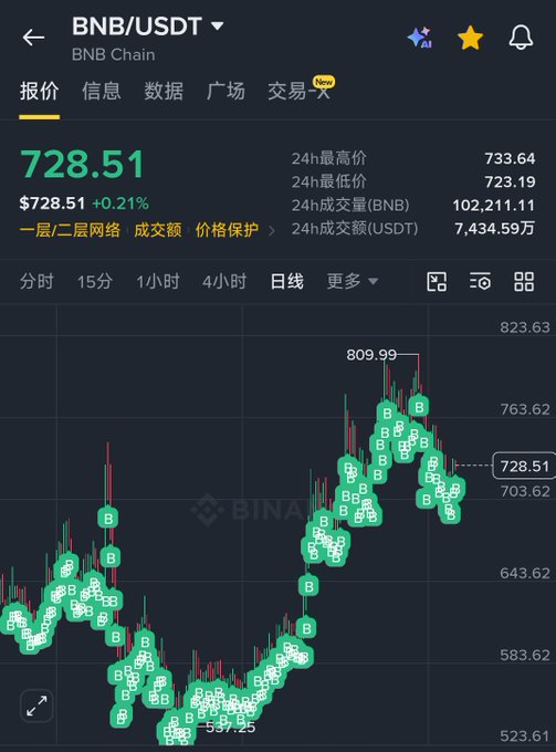 A Binance app screenshot showing the BNB/USDT trading pair at $728.51 with green BNB markers on the daily price chart.