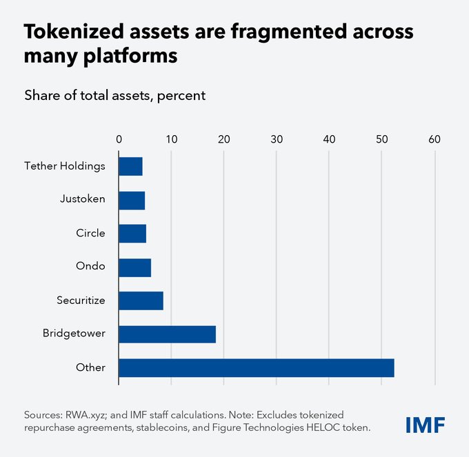 A horizontal bar chart titled "Tokenized assets are fragmented across many platforms" shows the share of total assets, in percent, across seven platforms. "Other" holds the largest share at about 52%, followed by Bridgetower at roughly 17.5% and Securitize at 7%, while Tether Holdings, Justoken, Circle, and Ondo each account for around 4.5–5%; the x-axis runs from 0 to 60.

Sources: RWA.xyz; and IMF staff calculations. Note: Excludes tokenized repurchase agreements, stablecoins, and Figure Technologies HELOC token.