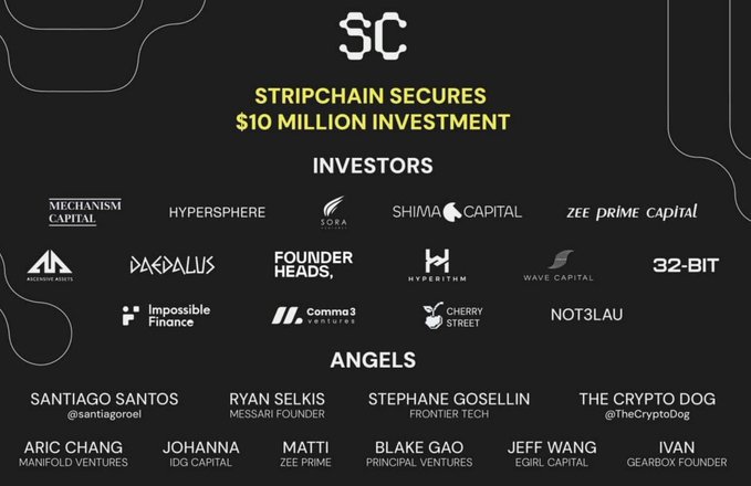 The image announces that Stripchain has secured a $10 million investment from investors including Mechanism Capital, Hypersphere, Sora Ventures, Shima Capital, Zee Prime Capital, Daedalus, Hyperithm, Wave Capital, and 32-BIT, along with angels like Santiago Santos and Ryan Selkis. This funding milestone highlights Stripchain's expansion into cross-chain interoperability, connecting Bitcoin, Ethereum, Solana, Sui, and Arbitrum through a unified interface as part of its Testnet v1 launch.