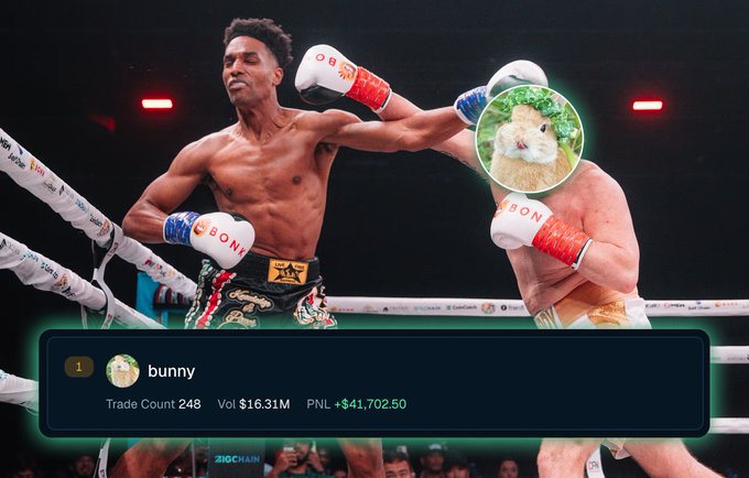 The image shows a boxing match between two boxers wearing gloves, with one of them throwing a punch at the other. The boxer being punched appears to be a bunny, as suggested by the caption "@blknoiz06 Bunny has made $40,000 in 5 days". This post seems to be about an unusual event or situation involving the boxing match and the bunny character.