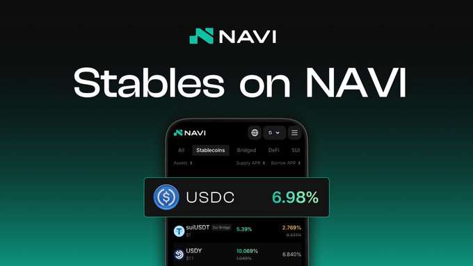 The image shows a smartphone with its screen displaying a Navi app that reads "Stables on NAVI". The app indicates an average return of 7.89% for USDC, which stands for User Data Center. It's worth noting that this is the most active market on NAVI at the time the photo was taken and it seems to be earning quite a bit of interest from users.