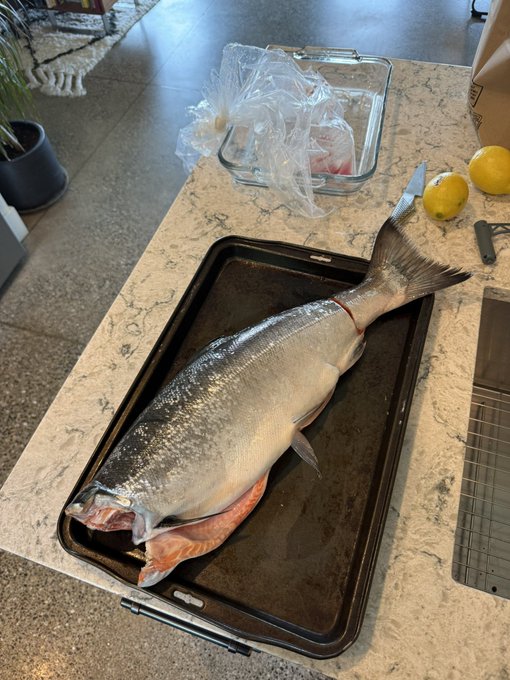 A whole salmon laid out on a baking tray with lemons and a knife nearby, ready to be cooked—the image playfully riffs on the post "they say we're not cooking on ordinals," suggesting a fresh, sizzling "fish" (or "phishing") preparation in Bitcoin's on-chain ecosystem.